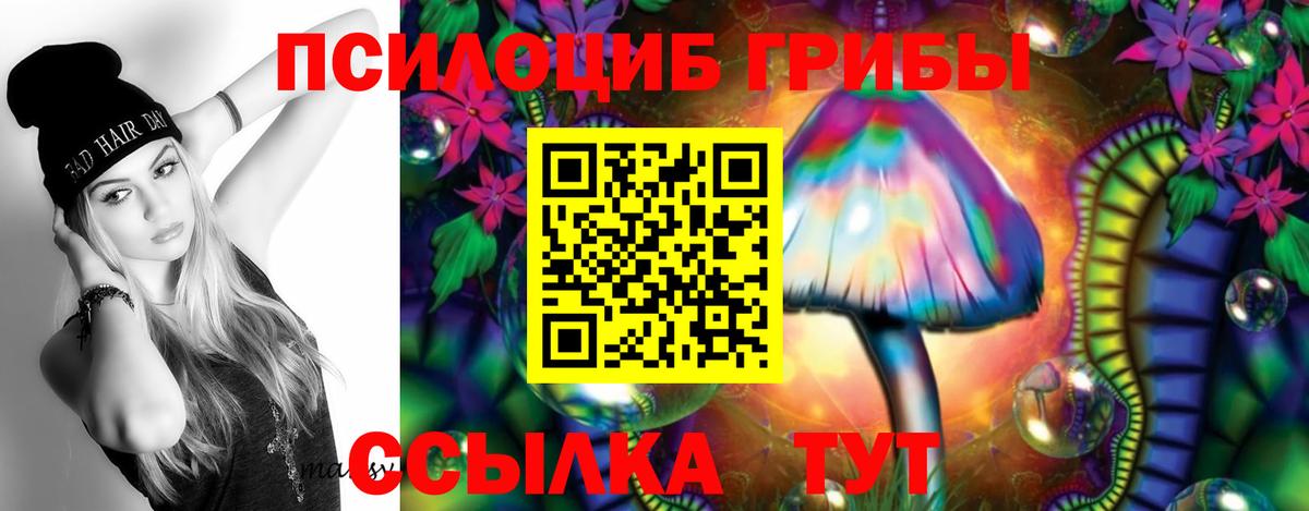 Видное  Галлюциногенные грибы Psilocybine cubensis  Вход с VPN 