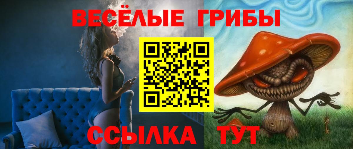 Псилоцибиновые грибы прущие грибы Видное