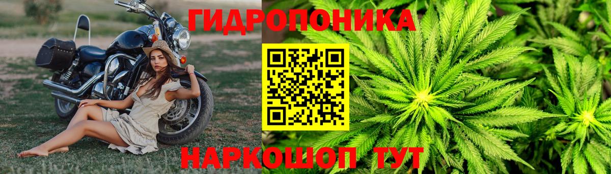 Бошки Шишки AK-47  Бошки Шишки AK-47  Видное  Вход с VPN  Бошки Шишки LSD WEED 